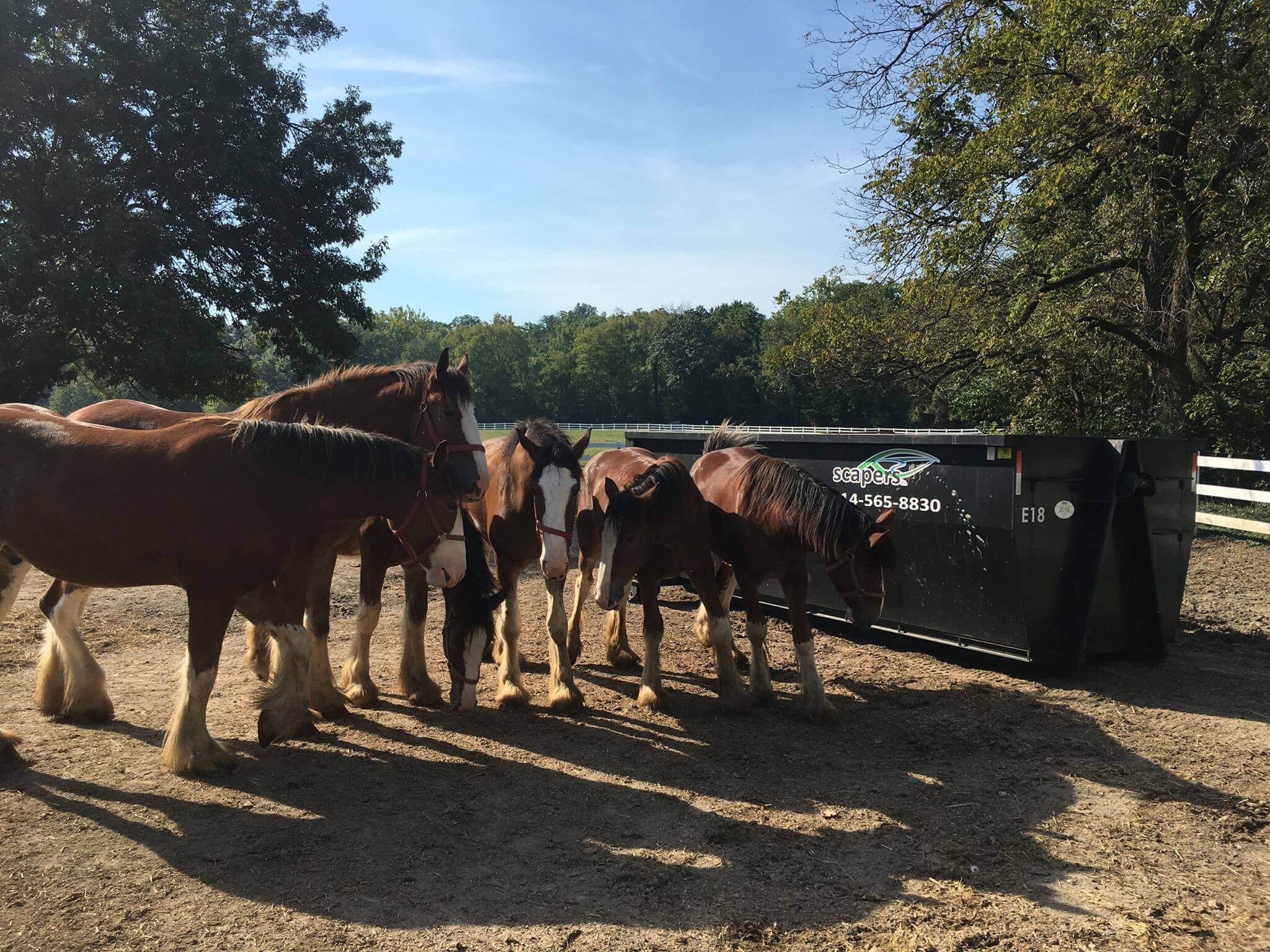 8 Residential Dumpster Rental St.Louis MO