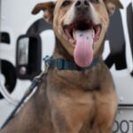 Rocko -Head of Security Scapers LLC